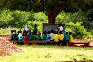 DSC_0543 School under a tree